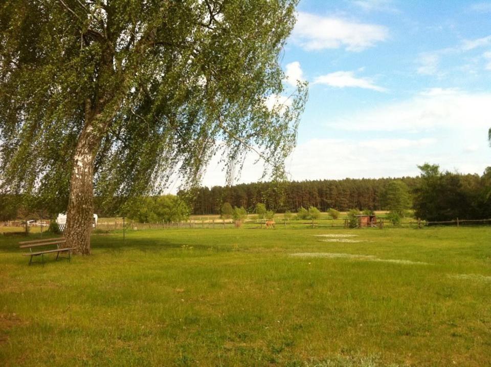 Landhotel Am Peetscher See Mirow Εξωτερικό φωτογραφία
